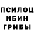 Псилоцибиновые грибы GOLDEN TEACHER Aimeerim Nur