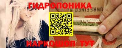 индика Жуковский