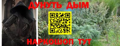 индика Жуковский