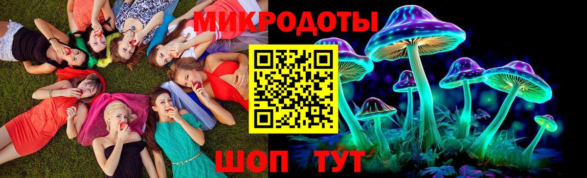 Псилоцибиновые грибы GOLDEN TEACHER Нижний Новгород