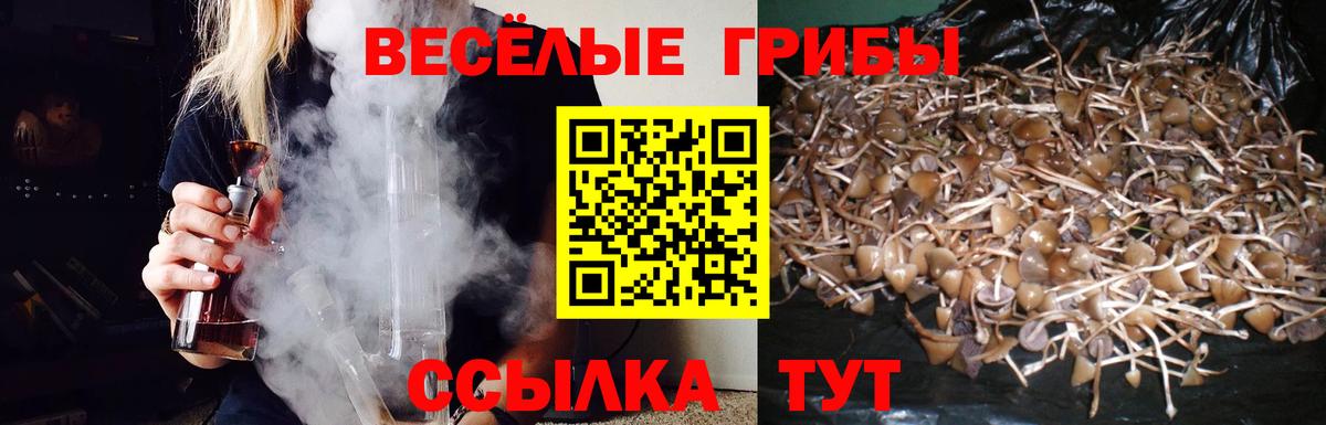 Псилоцибиновые грибы GOLDEN TEACHER  где купить наркоту  Галлюциногенные грибы MAGIC MUSHROOMS  Нижний Новгород  Вход с VPN 